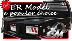 ER Model a popular choice