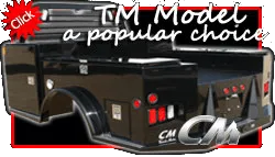 TM Model a popular choice